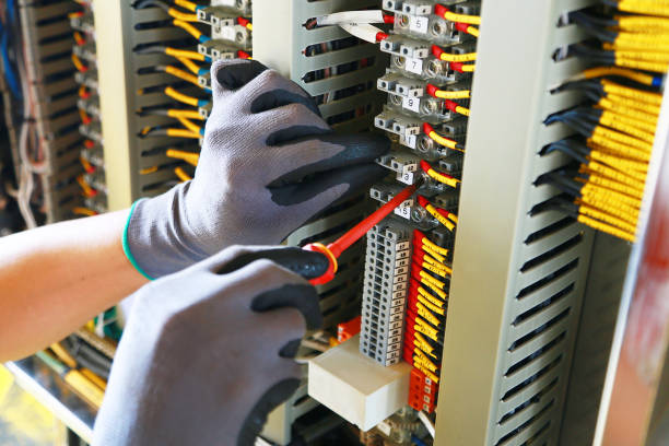 istockphoto-1007046542-612x612 istockphoto-1007046542-612x612